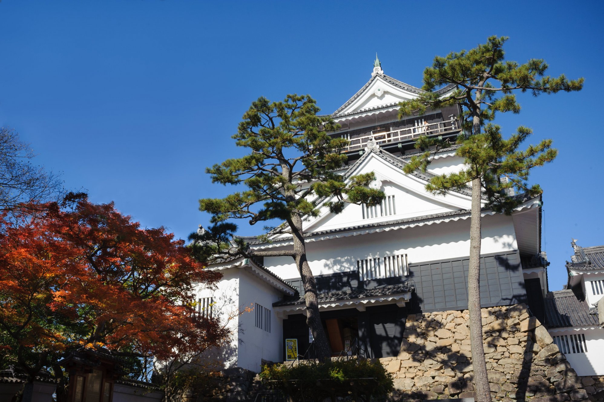 「鶴瓶の家族に乾杯」の撮影を支援しました！