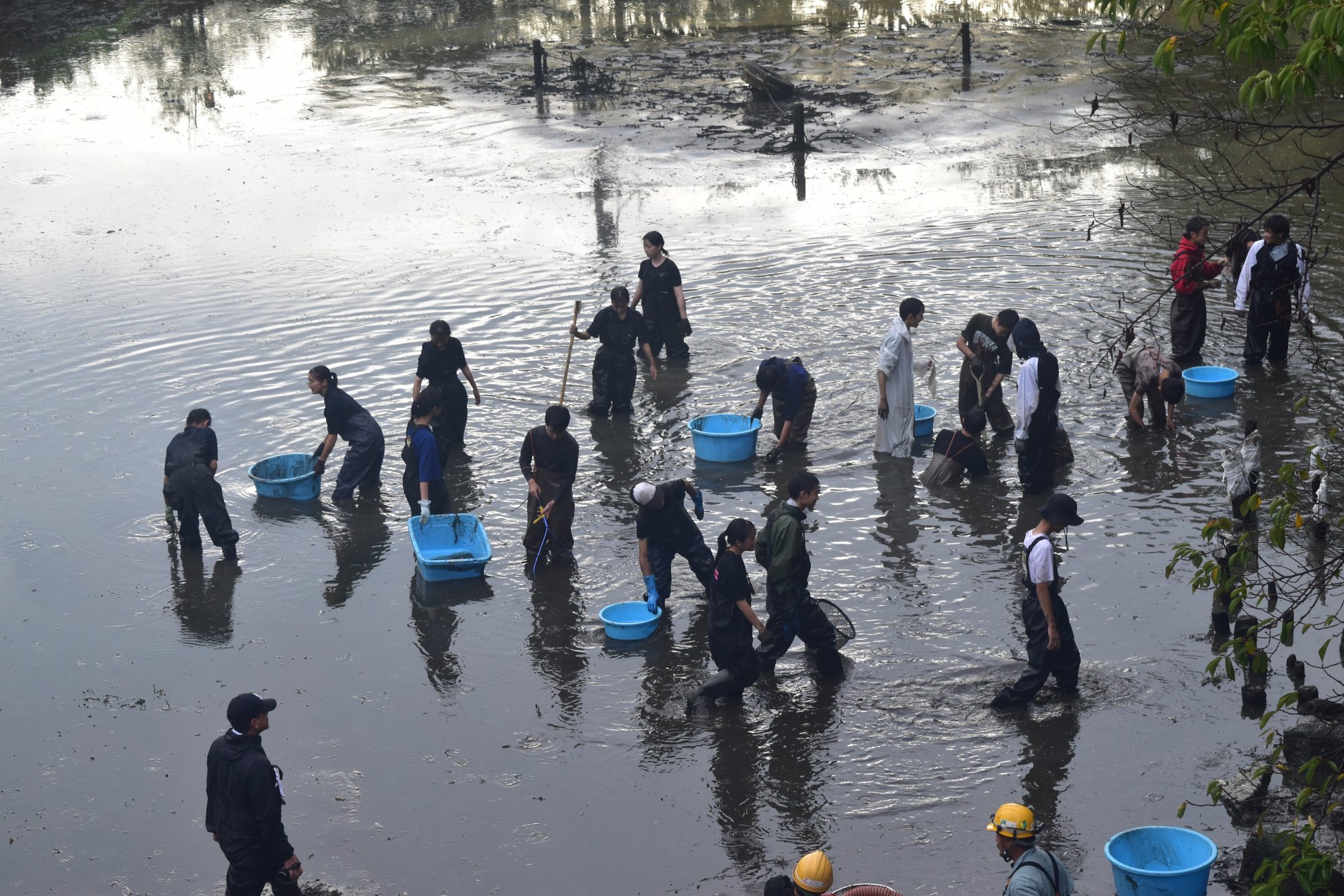 「緊急SOS！池の水ぜんぶ抜く大作戦」の撮影を支援しました！