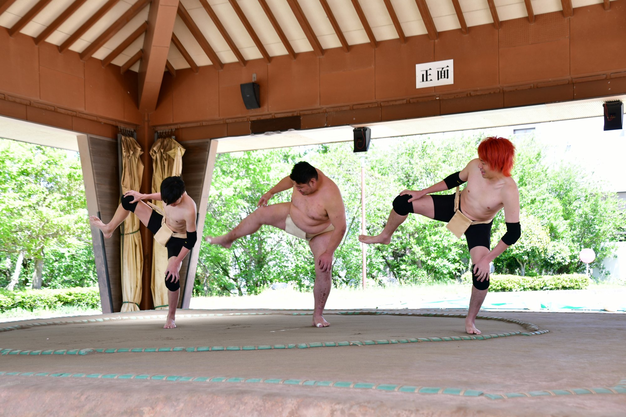 東海オンエア「ガリガリでも練習すれば相撲でデブに勝てる説！！！（ただの不摂生肥満に限る）」を支援しました。
