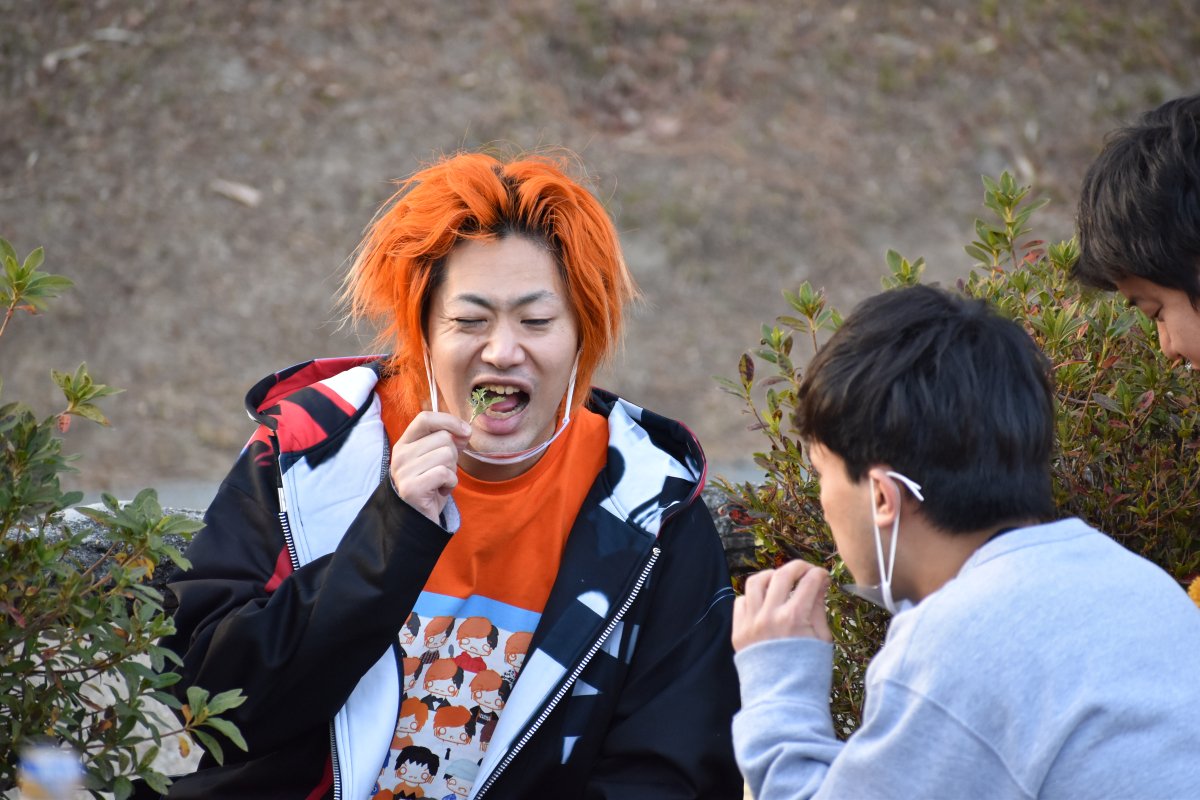 暇を持て余し草を食む。