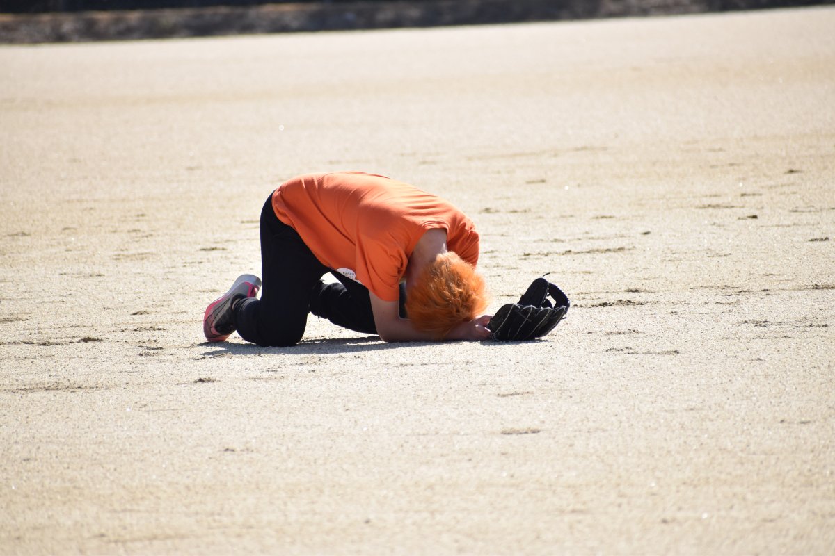 ない。
