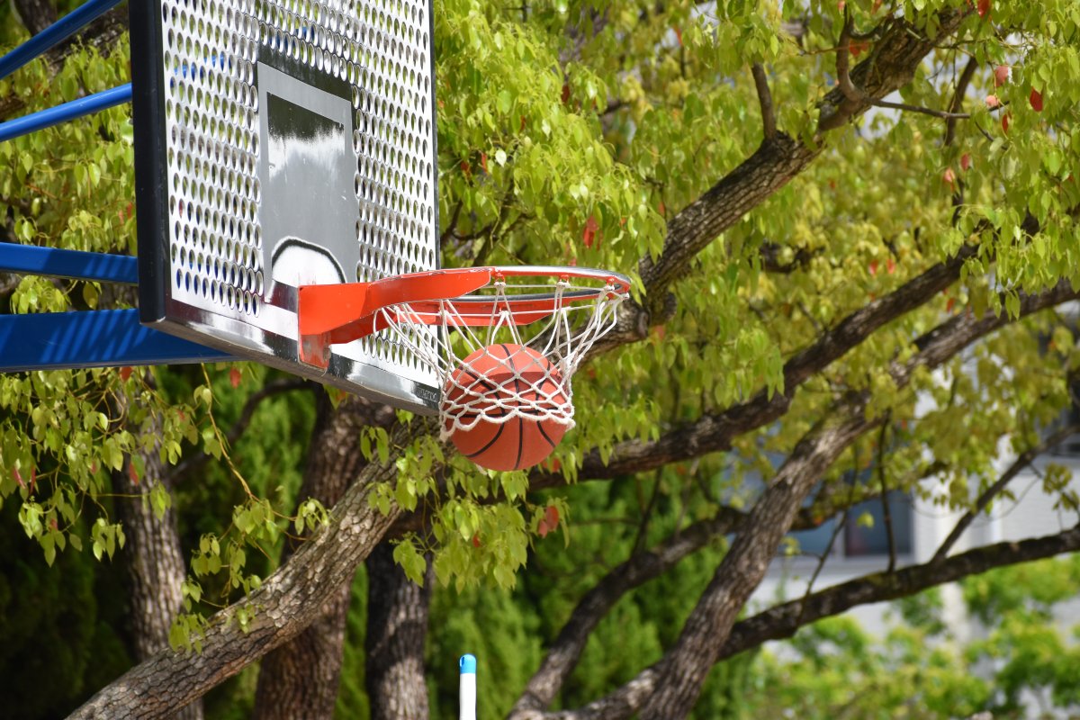 井田公園の仕様。