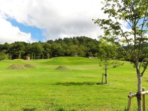 こども自然遊びの森 わんパーク