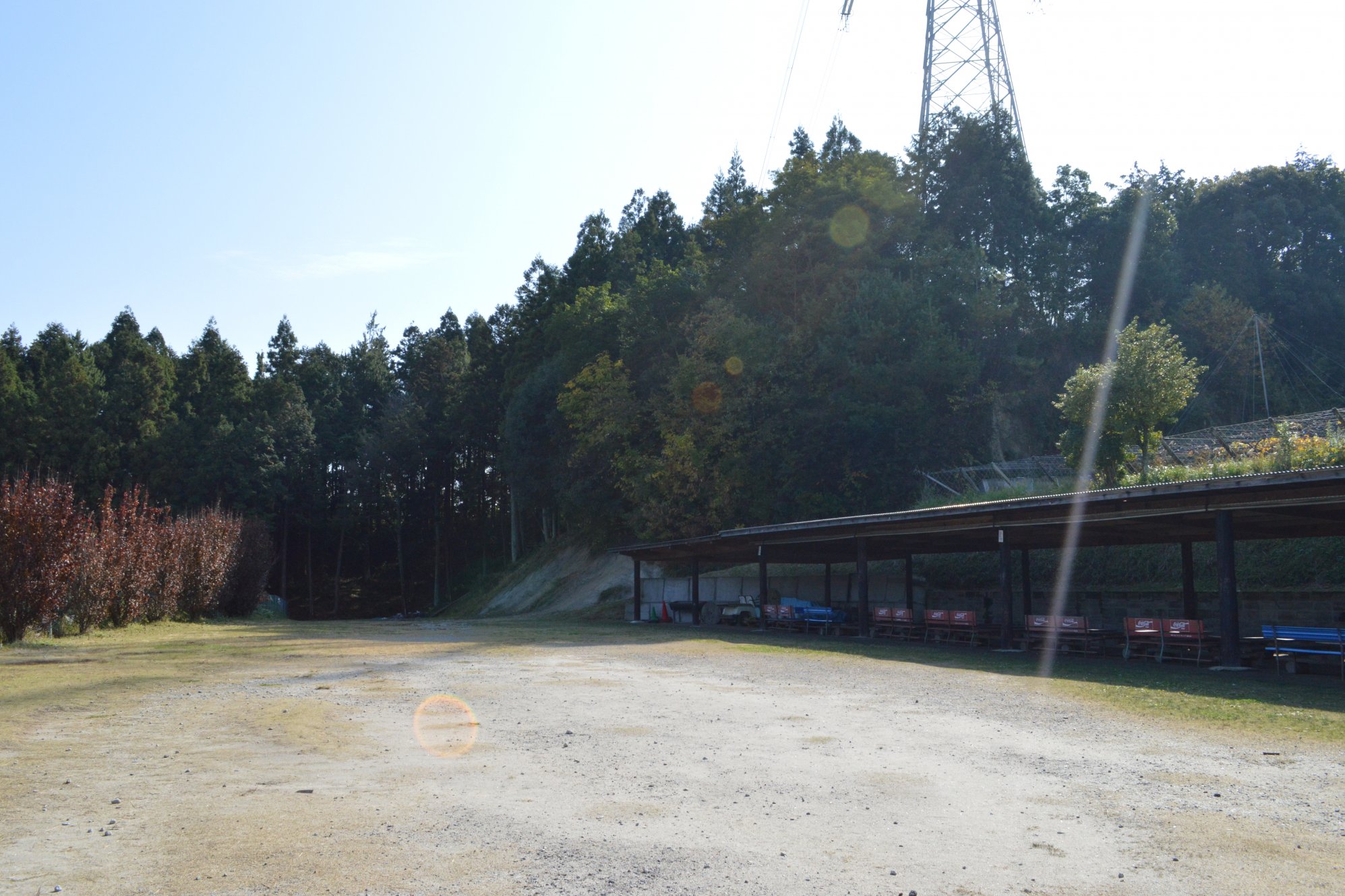 駒立ぶどう園