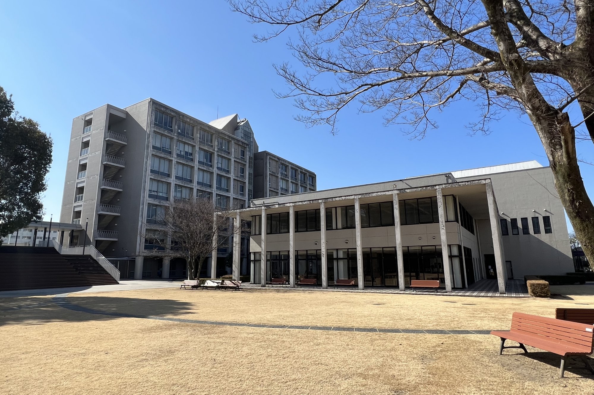 愛知学泉大学（校舎）