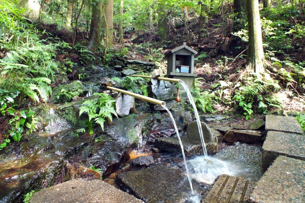鳥川ホタルの里湧水群