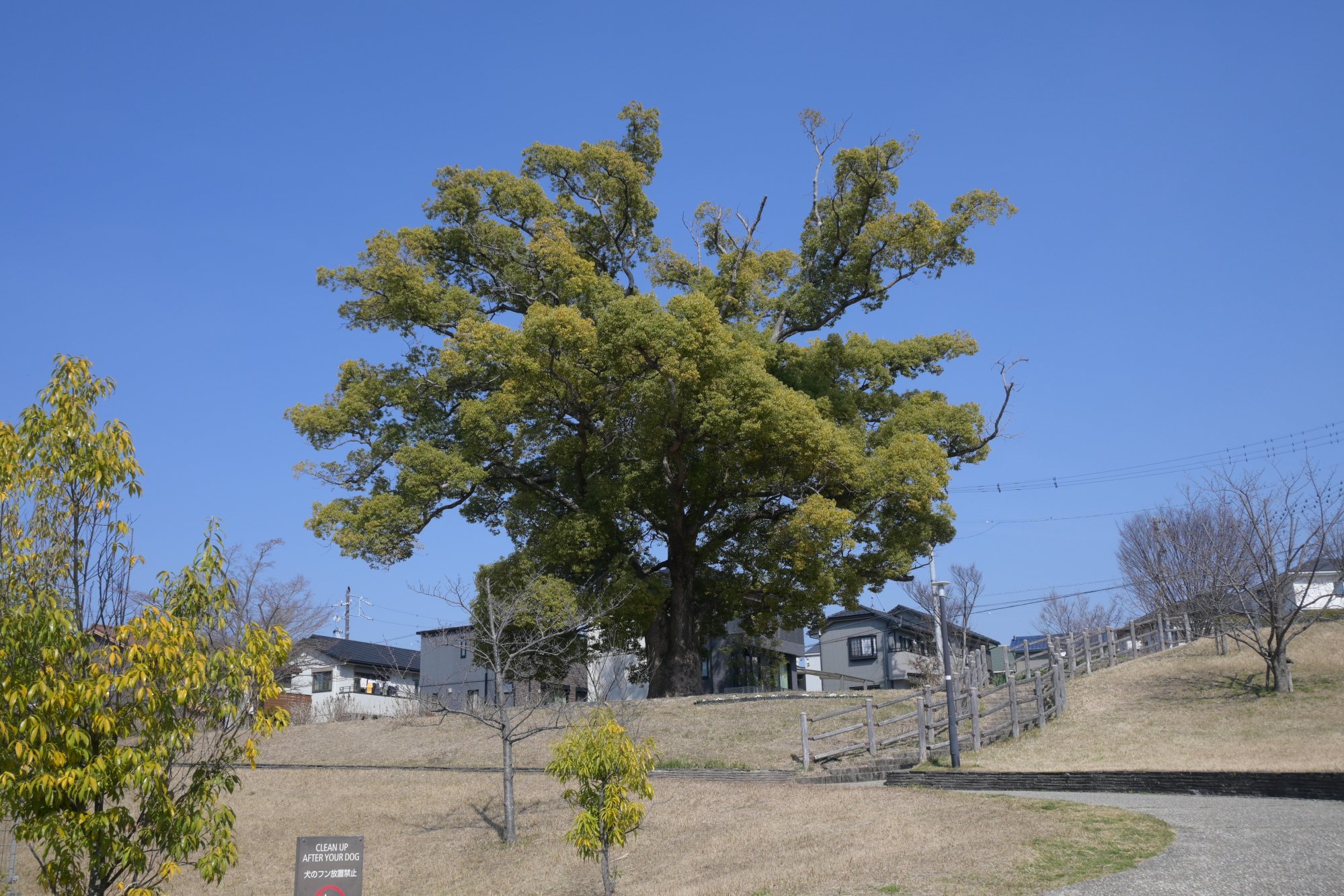 春咲の丘公園